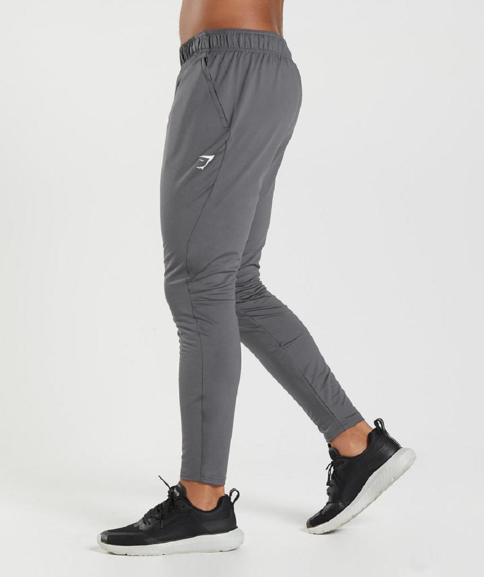 Gymshark Sport Muške Jogger Hlače Sive | HR 2942WNB